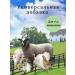Fitty flour 5 kg for dogs for dogs - Buy Online on GoSupps.com