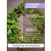 Youth of joints of phytochi from Crimea - Buy Online on GoSupps.com