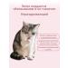 Therapeutic spray from skin diseases in cats - Buy Online on GoSupps.com