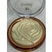 LI Liza Highlighter for the face compact powder golden hue - Buy Online on GoSupps.com