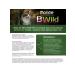 MONGE Bwild Bezernovaya for kittens from a buffalo meat 1.5 kg - Buy Online on GoSupps.com