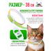 EARED Collar from fleas and ticks for cats and dogs of small breeds - Buy Online on GoSupps.com