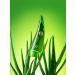 Holika Holika Universal Korean indelible gel with aloe vera 250 ml - Buy Online on GoSupps.com