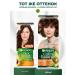 Garnier Persistent hair cream Color Naturals 4. 1 2 - Buy Online on GoSupps.com