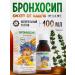 Pharmgroup Bronchosyip Children's Syrup from coughing 100ml
