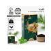 DNN STORE Black New Year's tea with mint in a boxing box