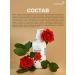 Konad Balm air conditioner with rose 300 ml - Buy Online on GoSupps.com