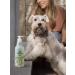 ECOZAVR Eco shampoo for puppies and kittens without SLS Sles 0.5l - Buy Online on GoSupps.com