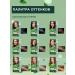 Fito cosmetic Persistent hair dye 6.0 natural light brown - Buy Online on GoSupps.com