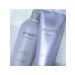 LebeL Bounce Fit shampoo for soft hair 300 ml - Buy Online on GoSupps.com