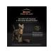 PRO PLAN Healthy Start dry food for kittens with chicken 1.5 kg - Buy Online on GoSupps.com