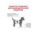 ROYAL CANIN Urinary Small Dog Dry Form for dogs 1.5 kg - Buy Online on GoSupps.com
