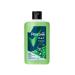 REXONA Shower gel and shampoo 3 in 1 wild lime 750 ml - Buy Online on GoSupps.com