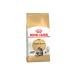 ROYAL CANIN Main coon adult - Buy Online on GoSupps.com