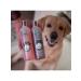animals boutique Shampoo tinting for dogs of white color 300 ml of premium on - Buy Online on GoSupps.com