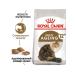 ROYAL CANIN Ageing 12+ Dry Food for Senior Cats 2kg - Buy Online on GoSupps.com