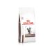 ROYAL CANIN GastroinTestinal Dry food for cats 2kg - Buy Online on GoSupps.com