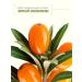 MJ House Vitamin shampoo with sea buckthorn for hair - Buy Online on GoSupps.com