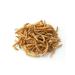 Avalanche of care Zophobas dried for insectivorous animals 300 grams - Buy Online on GoSupps.com
