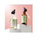 Mielle Oil for strengthening the scalp and hair of Light 59 ml - Buy Online on GoSupps.com