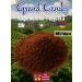 Grand Candy Ground coffee fried coffee "Robusta 3" 250g