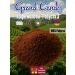 Grand Candy Ground coffee fried coffee "Robusta 3" 1 kg