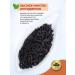 LIBERICA Set of black tea Assamics 600g - Buy Online on GoSupps.com