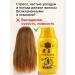 RK3110 Ginger air conditioning power strengthening hair restoration - Buy Online on GoSupps.com