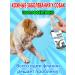 From dermatitis for dogs and cats 100 ml