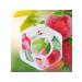 Aromatic water liners fruity aroma (apple) - Buy Online on GoSupps.com