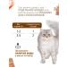 Country delicacies Duck cat soup with shrimp 2 packs (8 x 35 g) - Buy Online on GoSupps.com