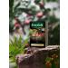 Greenfield Black tea Barberry Garden sheet 100 g - Buy Online on GoSupps.com