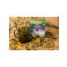 Monastery herbs Herbal tea mountain balm - Buy Online on GoSupps.com