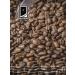 COFFEANA India Coffee Plantishn B in grains 1000 g - Buy Online on GoSupps.com