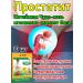 Plaster for the treatment of male prostate 10 pcs