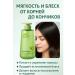 ac349 Shampoo for oily hair and scalp - Buy Online on GoSupps.com