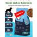 Enso Dry food for adult dogs of medium and large breeds with white fish and broccoli 10 kg