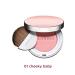Clarins tone 01 compact blush joli blush