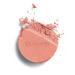 Clarins tone 06 compact blush joli blush - Buy Online on GoSupps.com