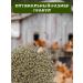 premix Feed for chickens ducklings goslings finish -N 5 kg - Buy Online on GoSupps.com