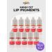 Hanafy A set of pigments for the Hanafi lip permanent 5 ml
