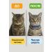 NAZKA21 Collar for cats from fleas and ticks parasites - Buy Online on GoSupps.com