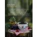 BodrOFF Tea mixture of green and black 1000 and 1 night - Buy Online on GoSupps.com