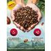 SPudra Coffee in grains 1 kg 100% Arabica Brazil Santa Isabelle - Buy Online on GoSupps.com