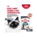 ROYAL CANIN Wet food for the output of cat wool in sauce 85 g 10 pcs - Buy Online on GoSupps.com