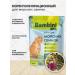 Bambini Pets Dry food for guinea pigs 800 g - Buy Online on GoSupps.com