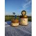 fita Natural honey with a hedgehog of comb 150 grams - Buy Online on GoSupps.com