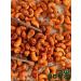 NUTRAJ Cashew fried with spices 100g - Buy Online on GoSupps.com