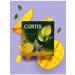 Curtis Green tea Delicate Mango 20 pyramids 4 packages - Buy Online on GoSupps.com
