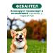 KRKA Dechinel plus tablets for medium dogs 2 tab - Buy Online on GoSupps.com